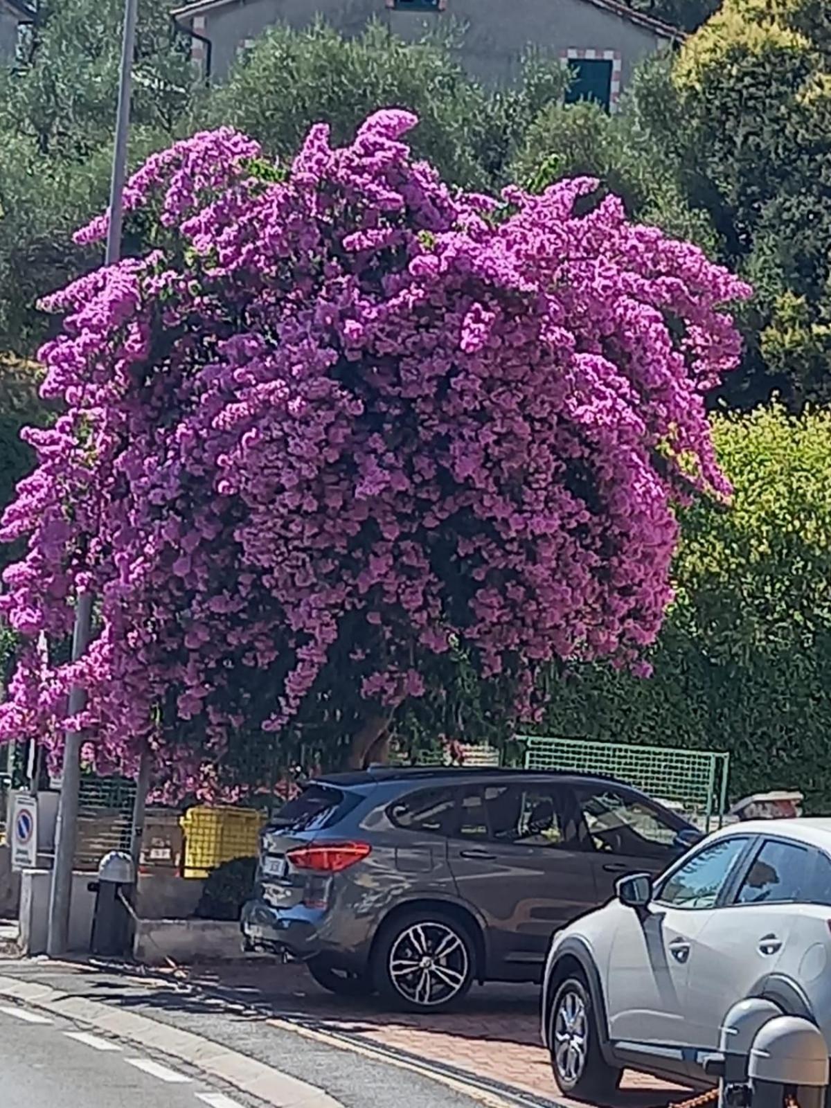 Appartamento Terrazza Sul Mare In Via Devoto Chiavari Esterno foto
