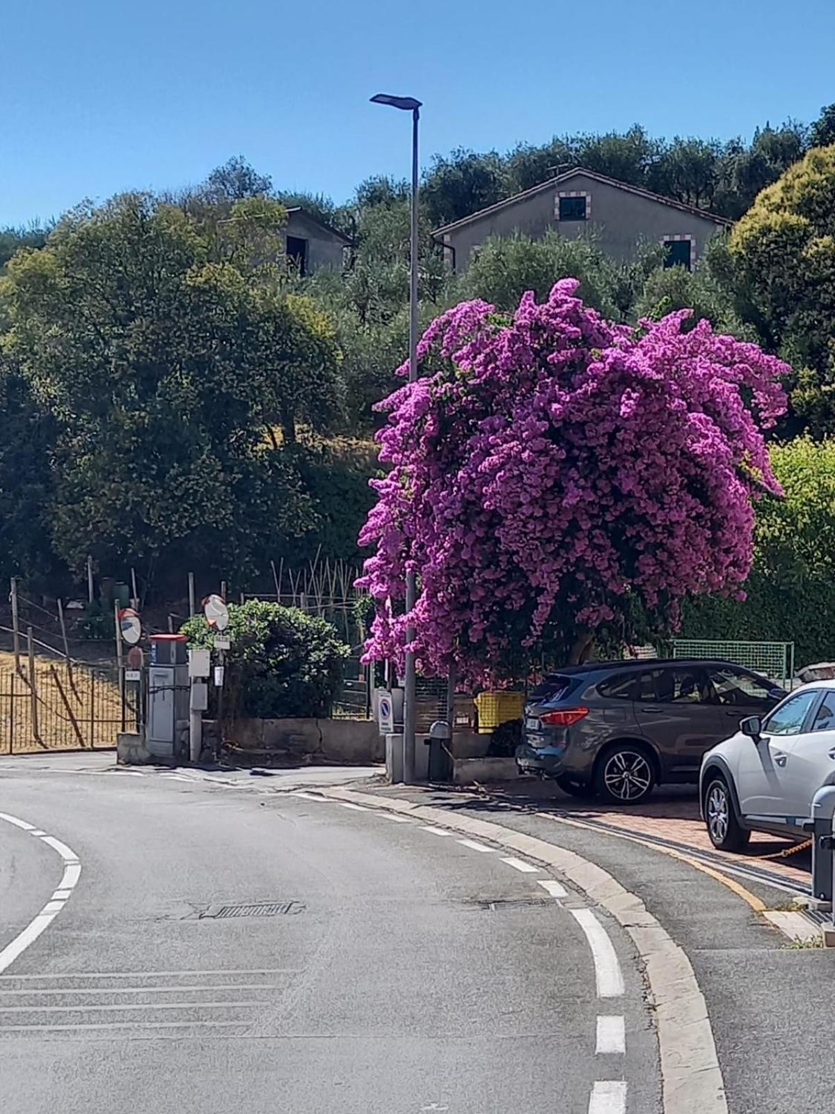 Appartamento Terrazza Sul Mare In Via Devoto Chiavari Esterno foto